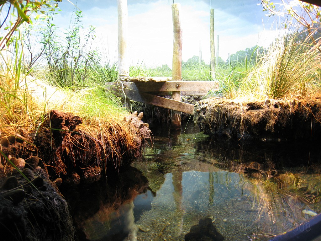 Baltimore MD 2009 1500.jpg - A 4th of July trip to Washington DC in 2009 included a stop in Baltimore MD to see the National Aquarium.